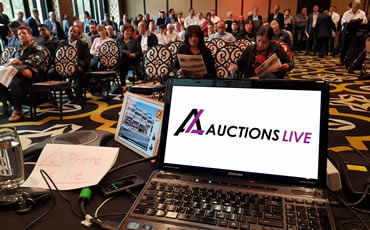 Auctions Live, Auctions, Auctioneer, Real Estate