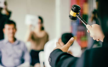 Auctions Live, Auctions, Auctioneer, Real Estate