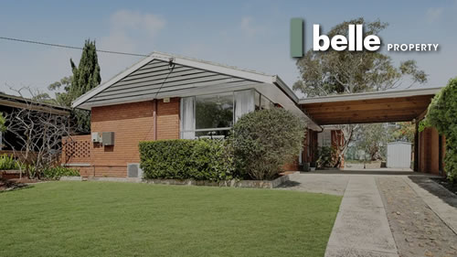 Belle Property Dee Why - 183 McIntosh Road, Beacon Hill NSW