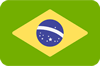 live-auctions-Brazil